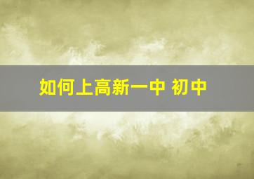 如何上高新一中 初中